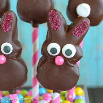 Close up picture of a chocolate covered marshmallow bunny with a candy face