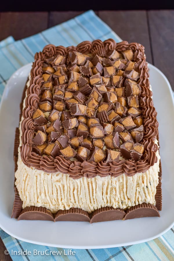 A white plate with a frosted chocolate peanut butter cake topped with peanut butter cups.
