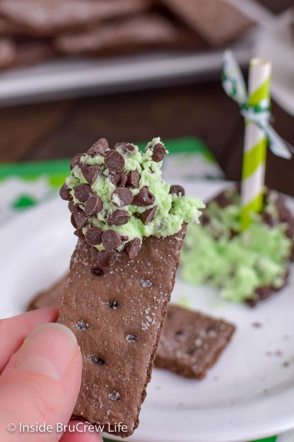 A chocolate graham cracker with mint cream cheese and chocolate chips on it.