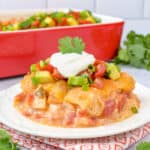 Easy Mexican Chicken Tater Tot Casserole Recipe