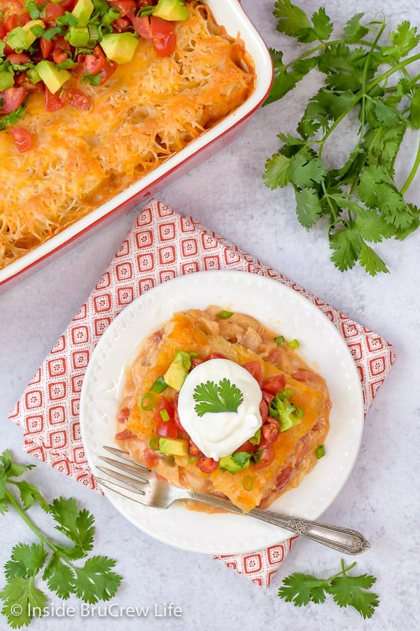 Easy Mexican Chicken Tater Tot Casserole - adding spicy chicken and tomatoes to this tater tot casserole makes a delicious Mexican casserole that everyone will love. Try this easy recipe for dinner. #dinner #tatertotcasserole #mexicanchicken #tatertots #comfortfood #easyrecipe