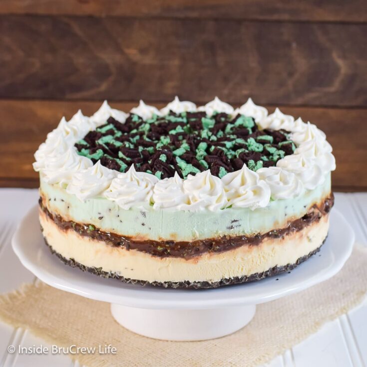 Mint Chocolate Chip Ice Cream Cake