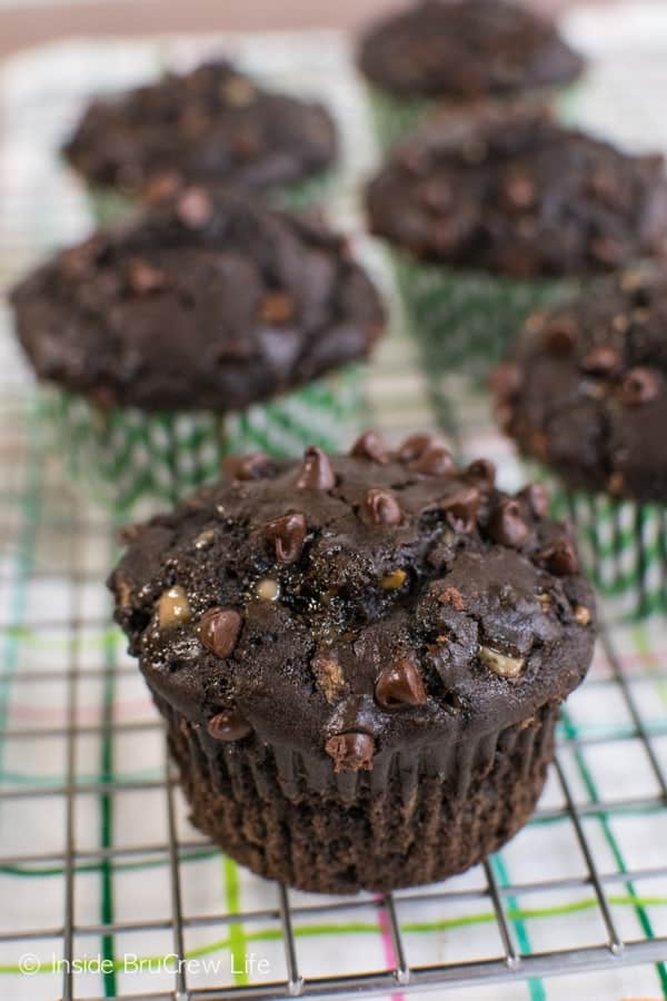 Double Chocolate Zucchini Muffins - two times the chocolate and shredded zucchini makes these a must make muffin this summer