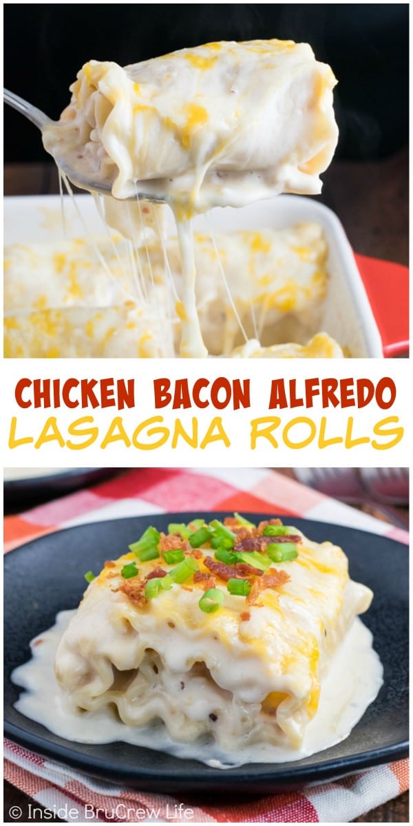 Lasagna noodles rolled up with a chicken bacon, and cheese filling makes a delicious comfort food dish!