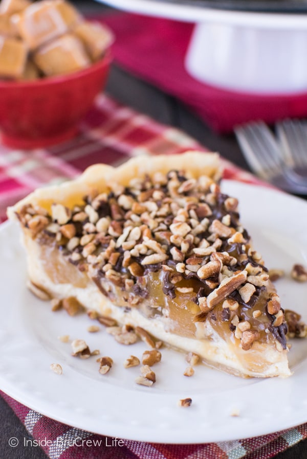 Apple Turtle Cheesecake Tart 