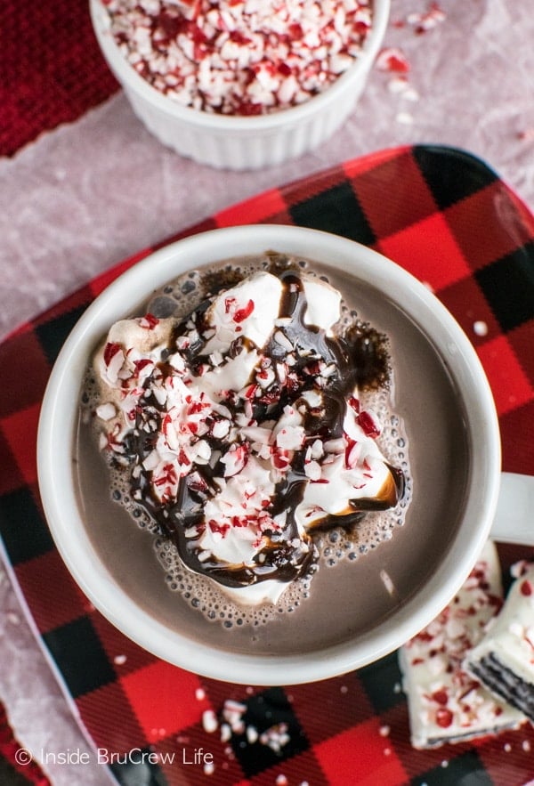 This homemade Peppermint Mocha Hot Chocolate is delicious and easy to make in your own home.