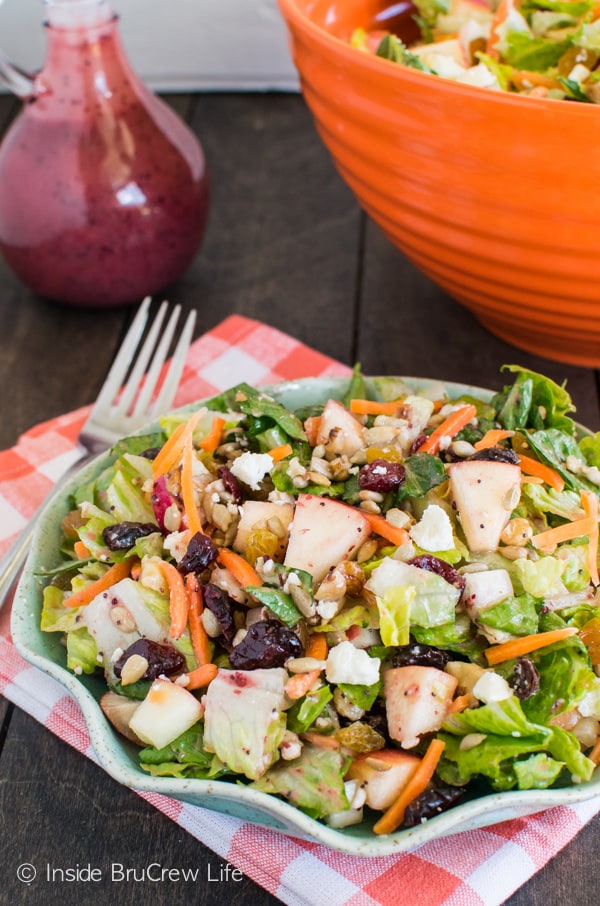 The homemade cranberry poppyseed dressing recipe makes this Cranberry Poppyseed Apple Salad great for picnics and dinner parties.