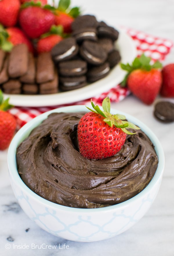This rich and creamy no bake Dark Chocolate Cheesecake Dip is great for eating with fresh fruit or cookies. Awesome recipe for picnics and parties!