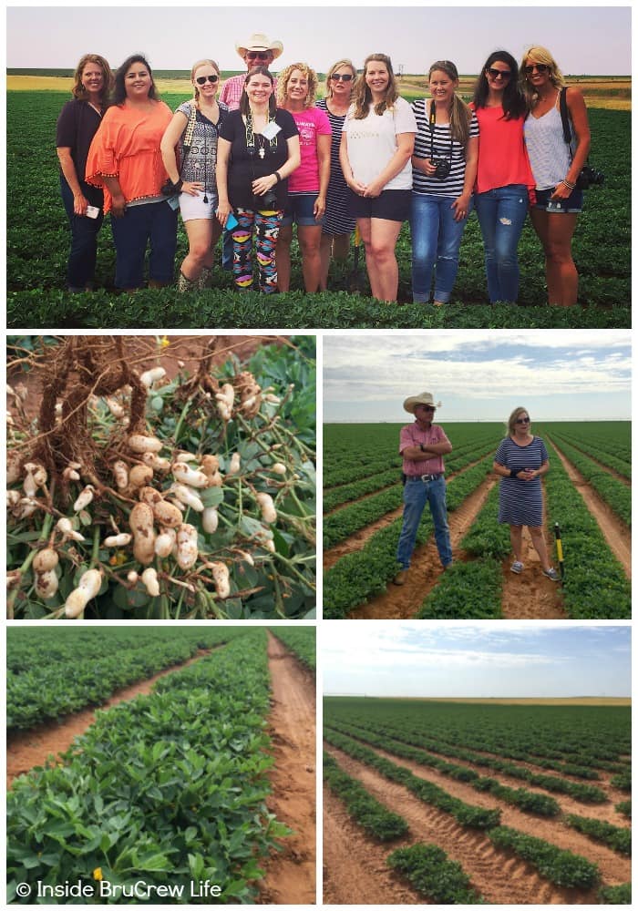 Texas Peanut Tour