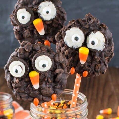 No Bake Rice Krispies Owl Cookies