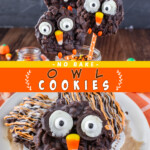 Two pictures of owl cookies collaged together with an orange text box.