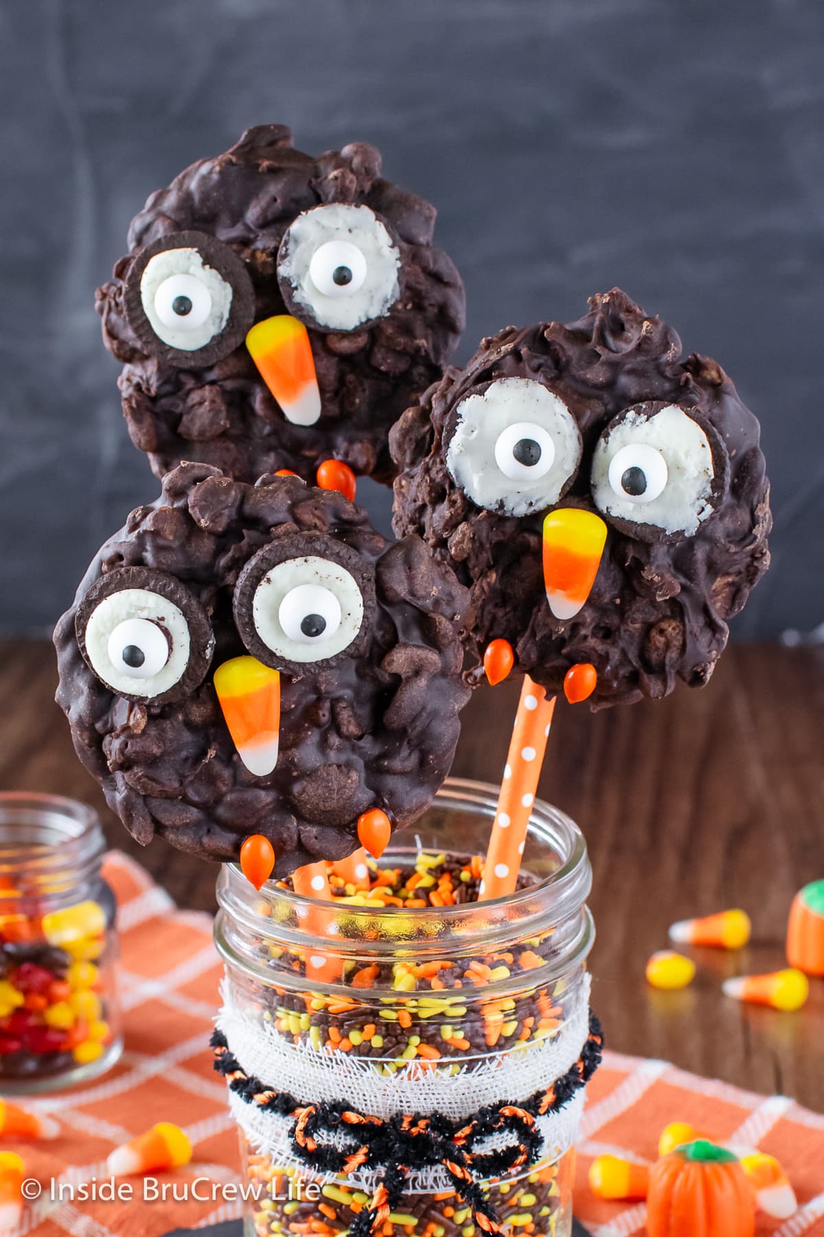 No bake owl shaped cookies on straws stuck in a jar.