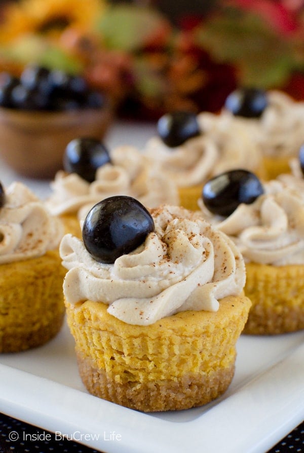 Pumpkin Spice Latte Cheesecake Bites | Homemade Pumpkin Spice Latte Recipes You Need This Fall