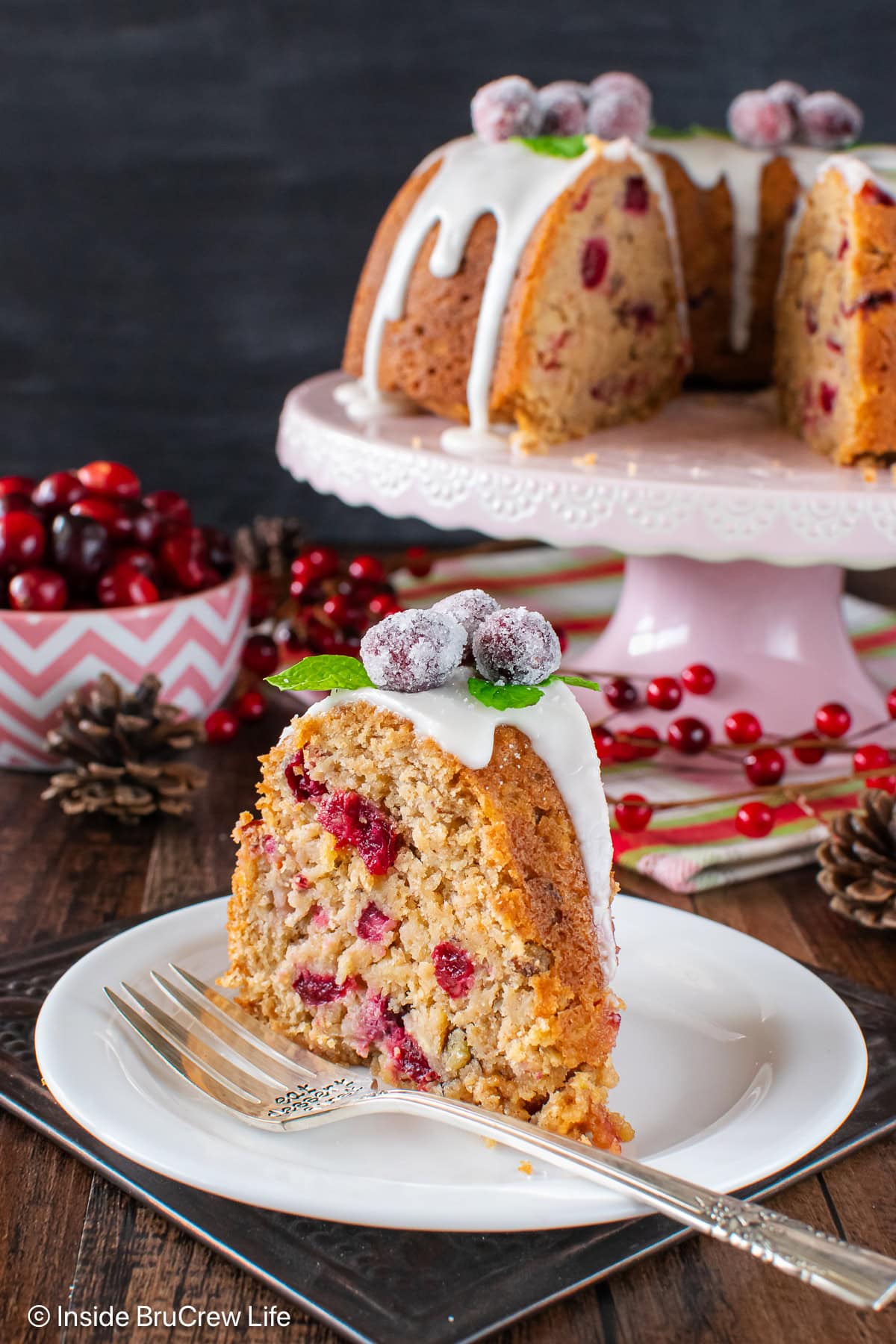 A white plate with a piece of cranberry apple cake on it.