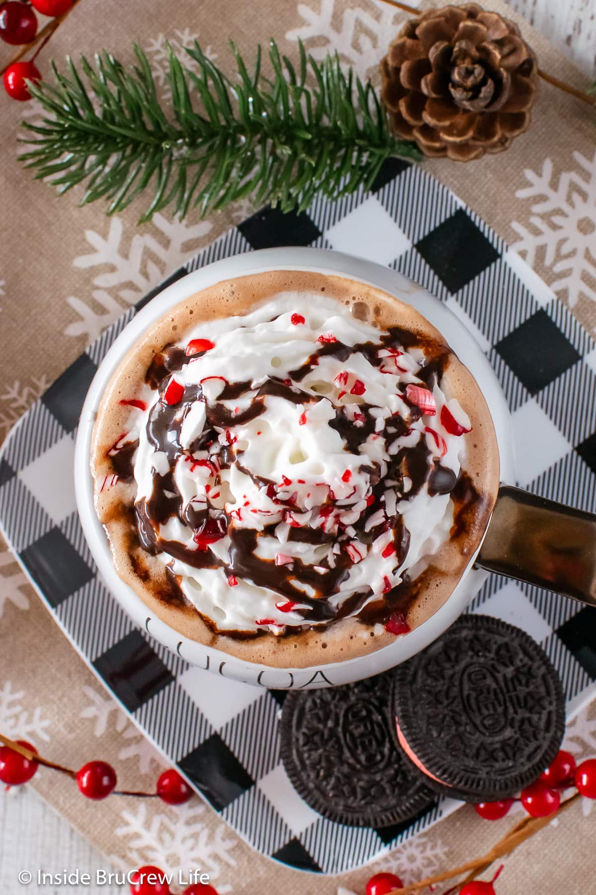 Overhead picture of hot chocolate topped with whipped cream.