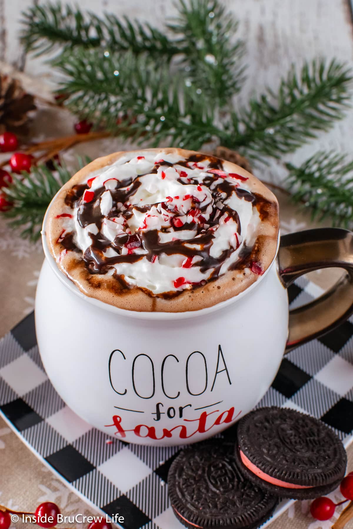 A mug filled with hot cocoa and whipped cream.