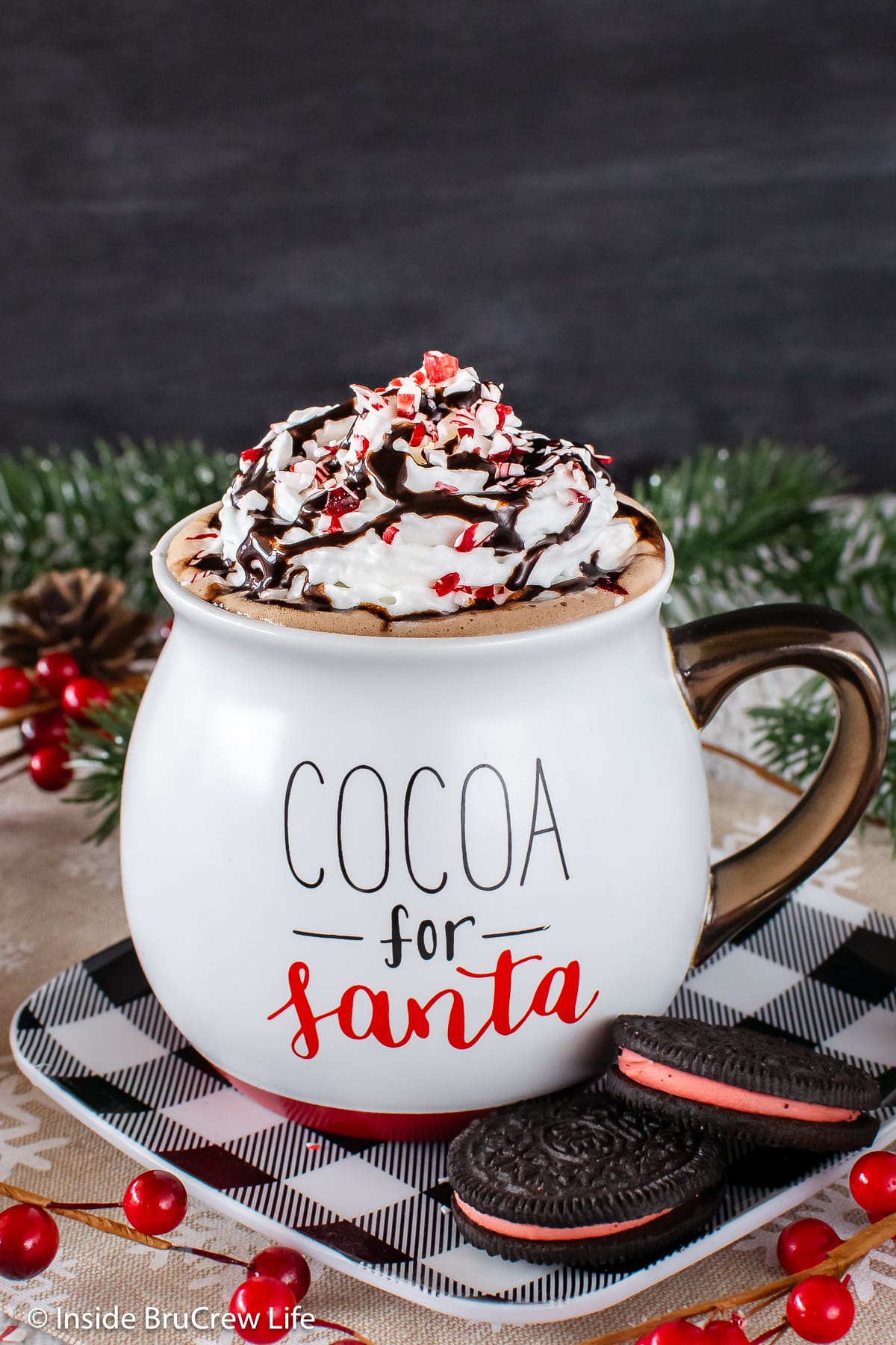 A mug of hot cocoa topped with whipped cream.
