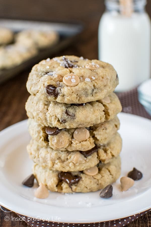Salted Caramel Chocolate Chip Cookies - coarse sea salt adds a shimmer & crunch to these easy oatmeal cookies. Great recipe to fill the cookie jar with!