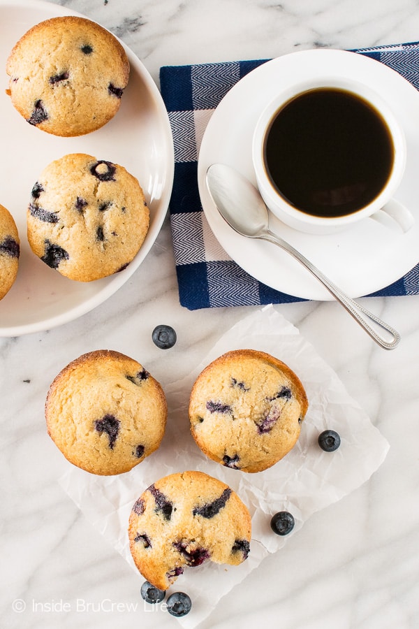 Blueberry Chai Muffins - soft muffins filled with spices and fresh berries are a great way to start out the day!