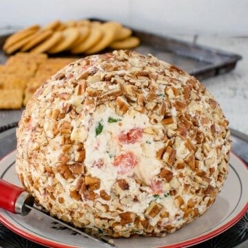 A cheese ball covered in pecans on a white plate.