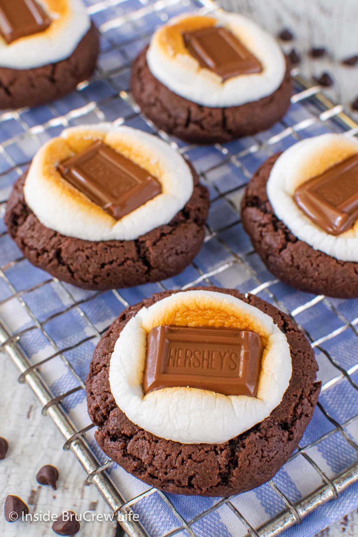 A tray of chocolate marshmallow cookies.