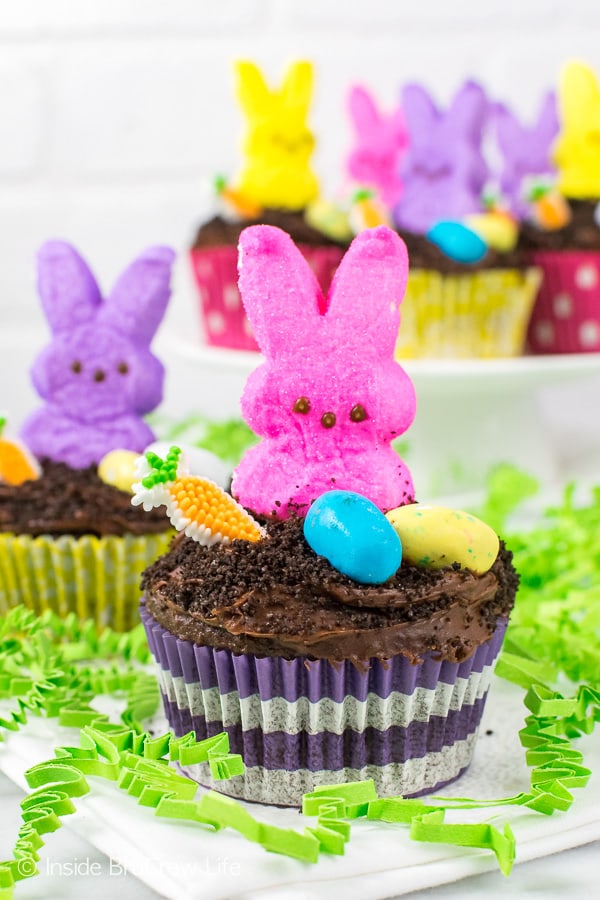 Chocolate cupcakes topped with malt eggs, a candy carrot, and marshmallow bunnies.