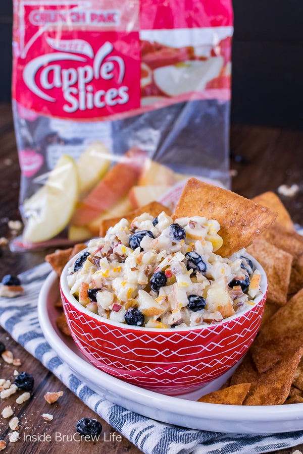 Skinny Apple Blueberry Salsa - a honey orange yogurt mixed with apples, blueberries, and nuts is perfect for munching on with chips. Easy recipe for a healthy summer snack!