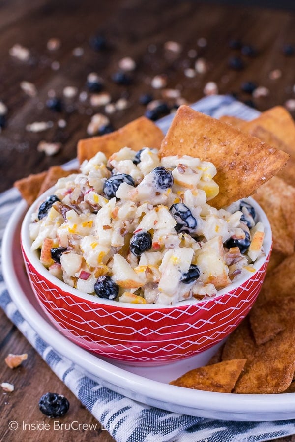 Skinny Apple Blueberry Salsa - this easy and healthy dip is loaded with fruit and nuts! Perfect snack to munch on during the summer!