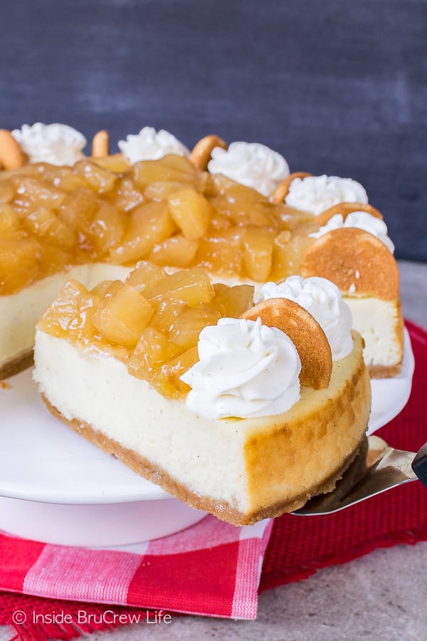 Vanilla Bean Cheesecake - creamy vanilla cheesecake with a vanilla cookie crust. Add your favorite pie filling or toppings to the finished cheesecake for a dessert recipe that everyone will love!