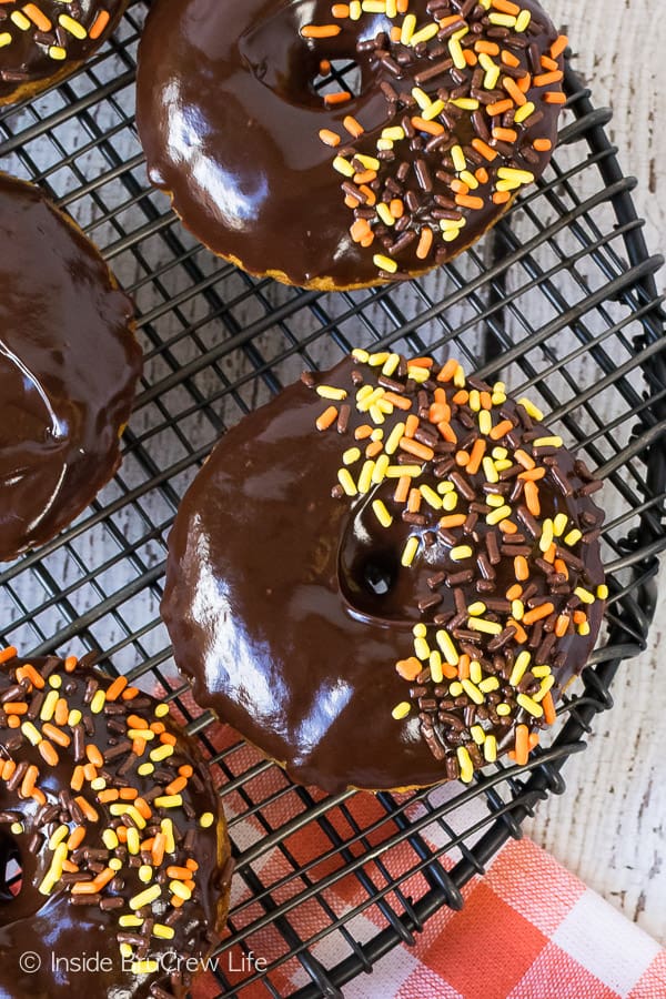 Chocolate Chip Pumpkin Donuts - sweet baked donuts with chocolate chips inside and a chocolate glaze on top. Perfect fall recipe for breakfast or after school snacks!