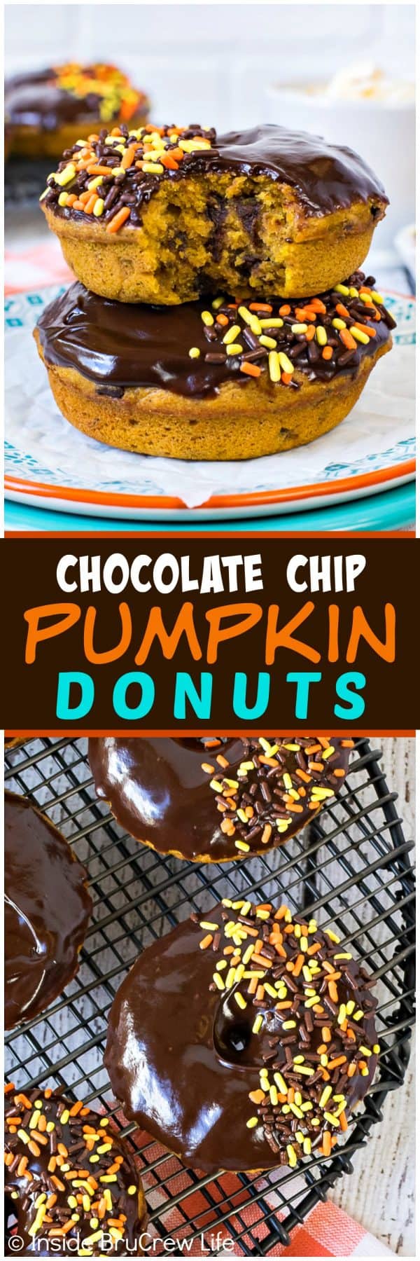 Chocolate Chip Pumpkin Donuts - these soft dense pumpkin donuts are loaded with chocolate goodness on top and inside. Great fall recipe for breakfast or after school snacks.