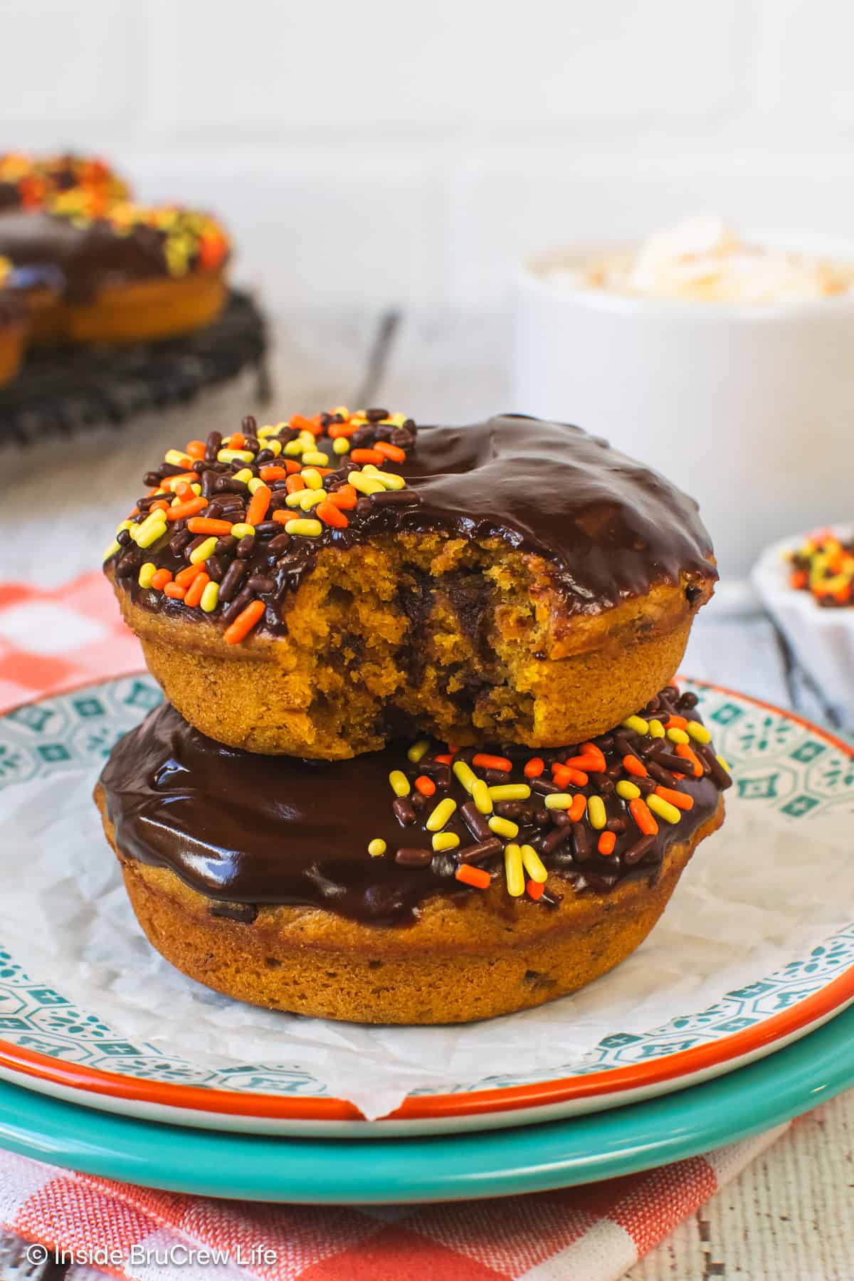 Two pumpkin chocolate chip donuts on a plate with a bite out of one.