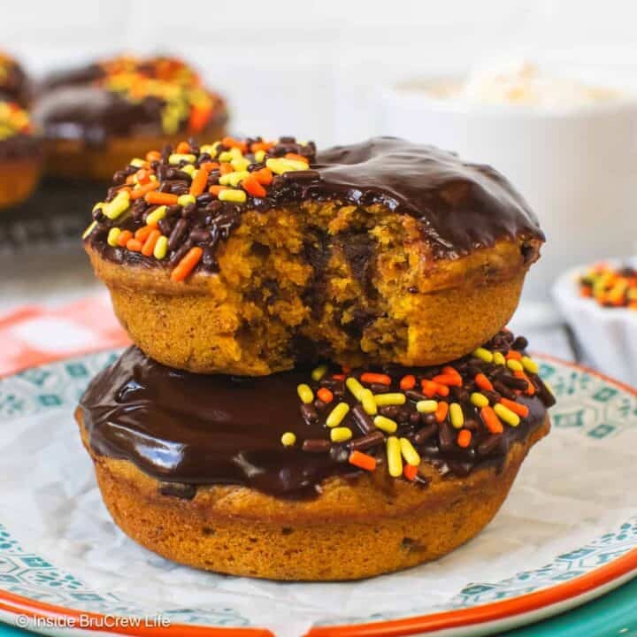 Chocolate Chip Pumpkin Donuts