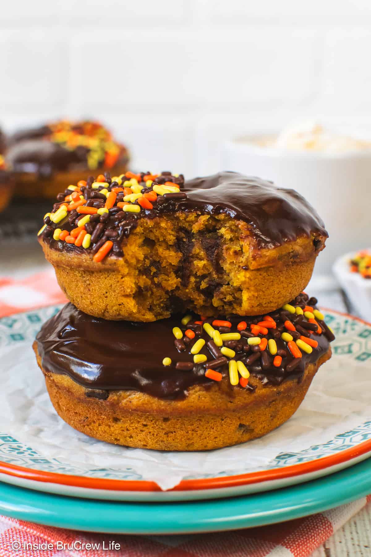 Two pumpkin chocolate chip donuts on a plate with a bite out of one.