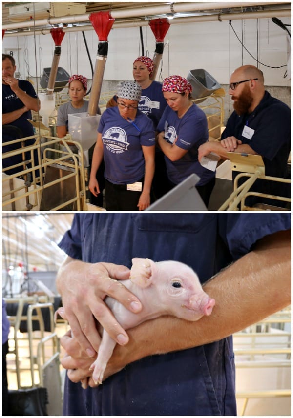 Pass the Pork Tour in Sioux Falls, South Dakota