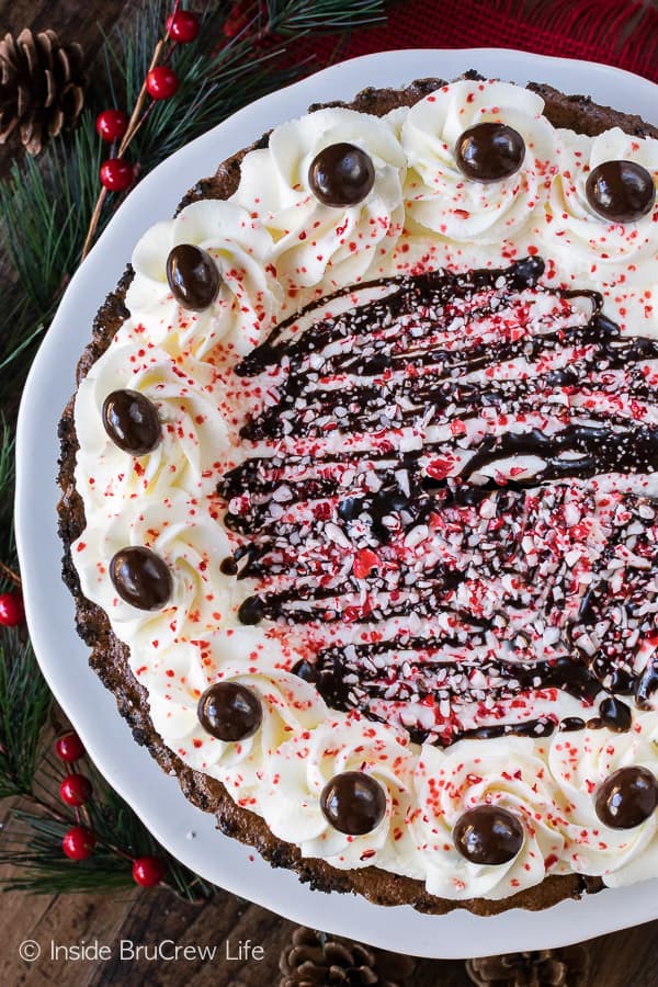 Overhead picture of a full size Peppermint Mocha Fudge Tart.