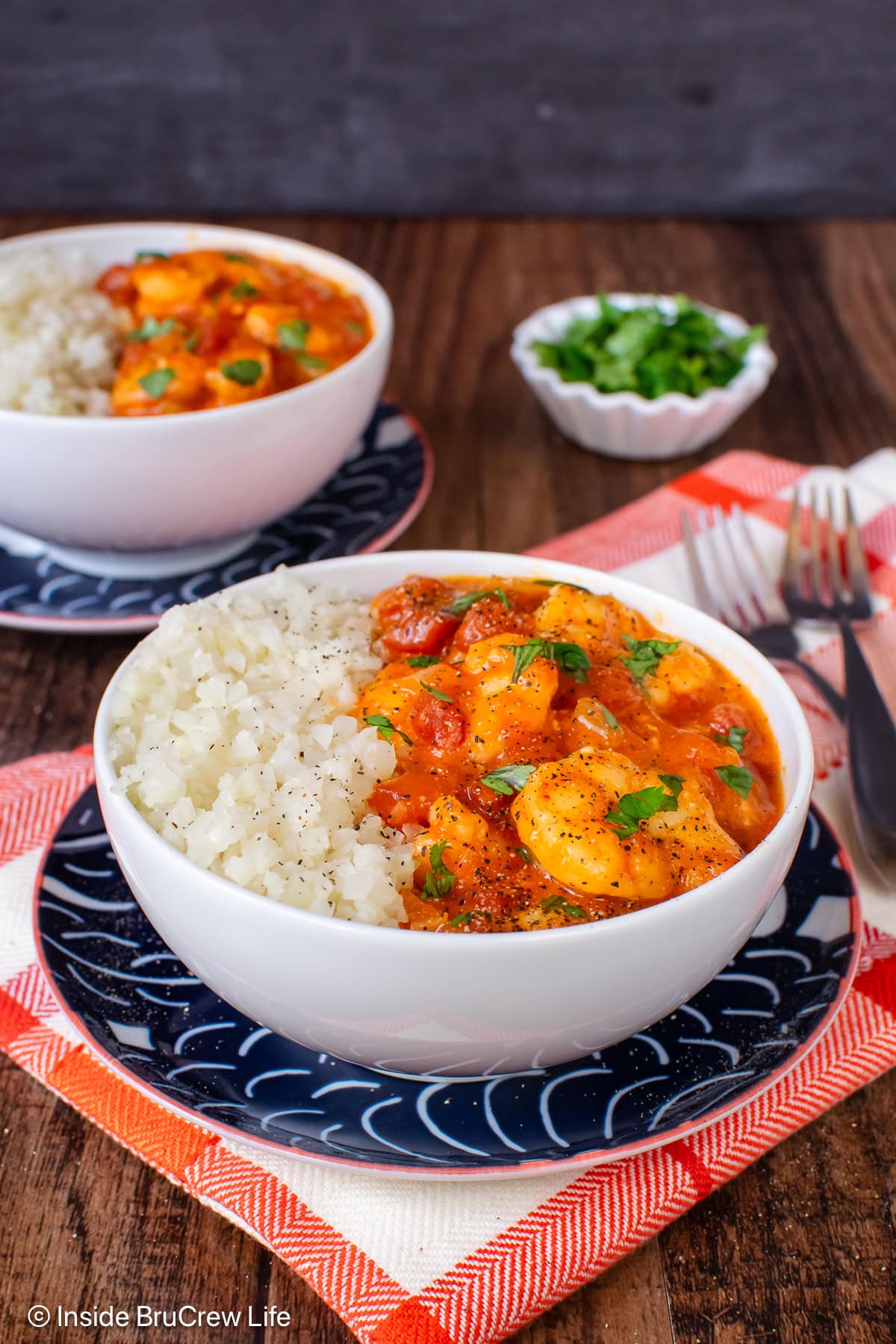 A bowl of coconut shrimp curry and cauliflower rice on a blue plate.