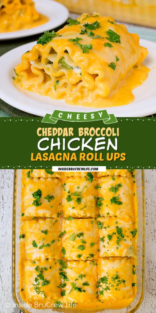 Broccoli Chicken Lasagna Roll Ups - Inside BruCrew Life