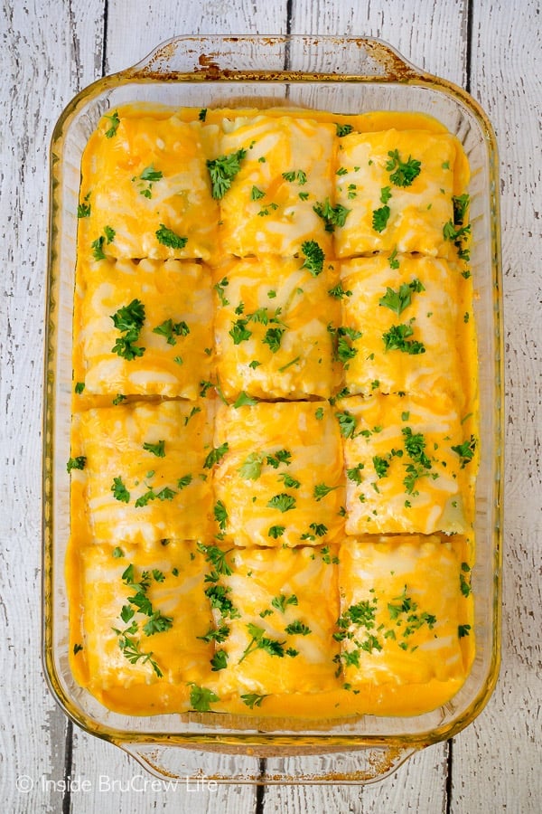 Overhead picture of a pan of cheddar chicken lasagna roll ups topped with cheese and parsley.