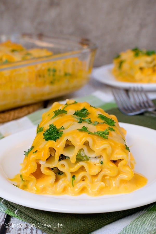 A white plate with a cheddar chicken lasagna roll on it.