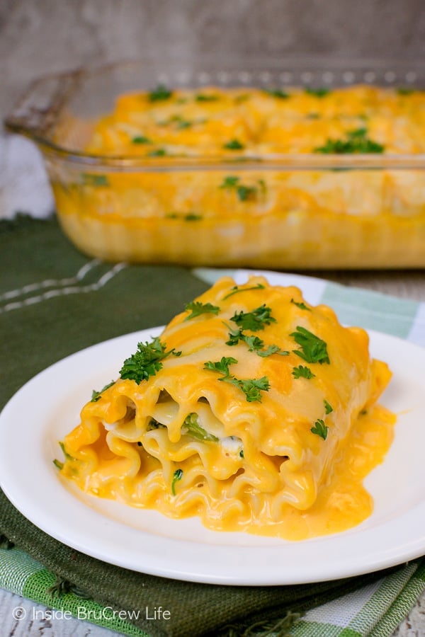 A cheddar chicken lasagna roll up topped with parsley on a white plate.