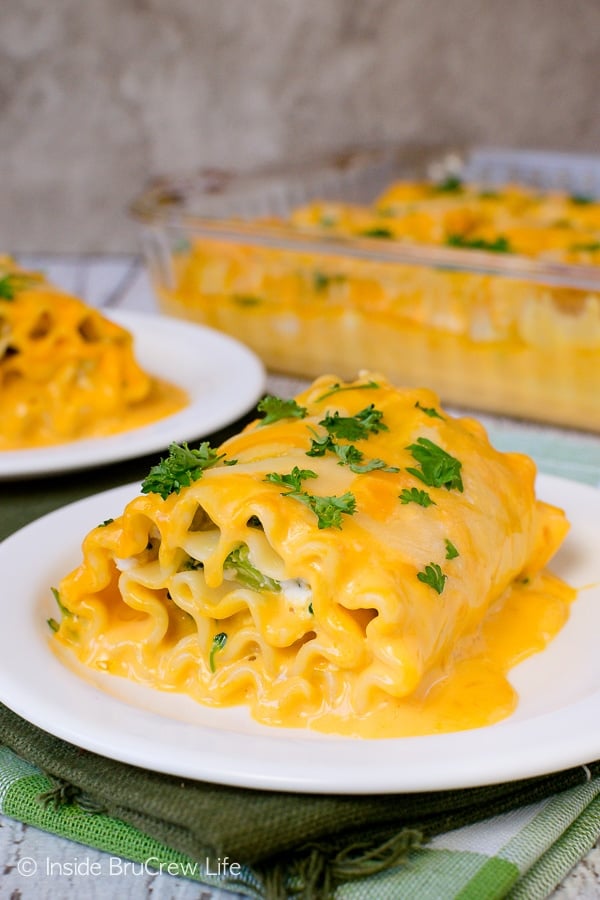 A white plate with a cheesy chicken lasagna roll up on it and a pan of rolls behind it.