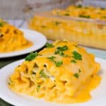 Cheddar Broccoli Chicken Lasagna Rolls Cheddar Broccoli Chicken Lasagna Rolls