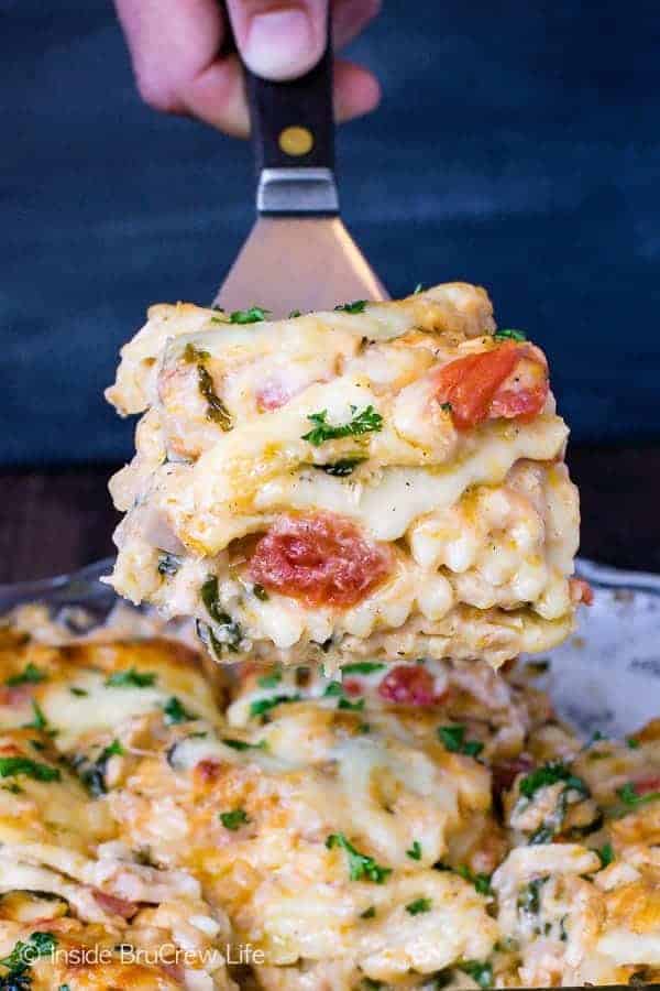 Chicken Alfredo Ravioli Lasagna - layers of pasta, cheese, tomatoes, and chicken Alfredo make this an easy comfort food dish that everyone loves. Great recipe to make ahead of time for busy nights! #dinner #pasta #comfortfood #ravioli #chickenalfredo #easymeals #recipes #lasagna 