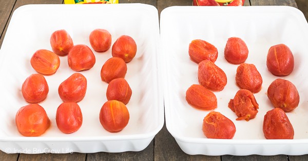 Red Gold tomatoes versus another brand