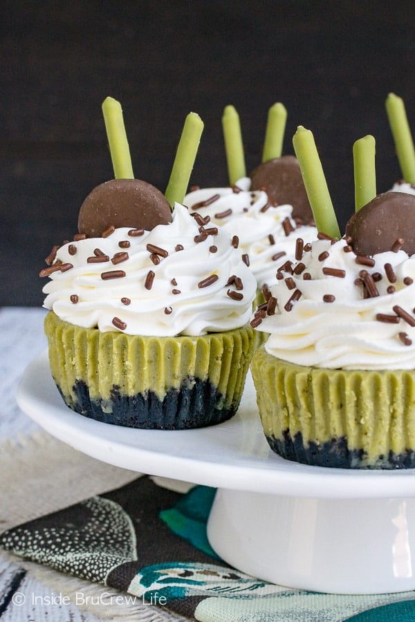 Matcha Green Tea Cheesecakes - a chocolate cookie crust adds a sweet crunch to these awesome green tea cheesecakes. Make this easy recipe for summer parties and picnics. #cheesecake #matcha #greentea #minidesserts #summer #picnic #recipe