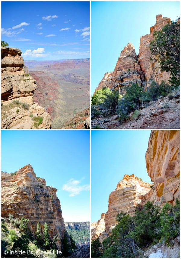 Visiting Grand Canyon National Park - the scenic views and small details of beauty are worth the trip