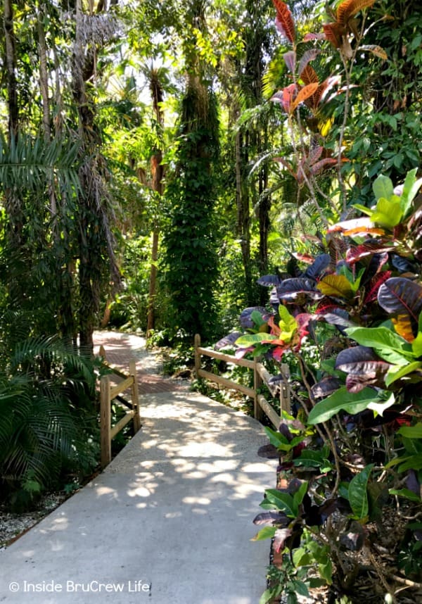 Sarasota Jungle Gardens - 10 acres of tropical jungle gardens and many different varieties of reptiles, birds, and animals can be found in this small Florida attraction. #travel #tropical #jungle #gardens #flamingos #florida #family #floridaattractions