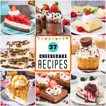 Nine cheesecake pictures collaged with a fun text box.