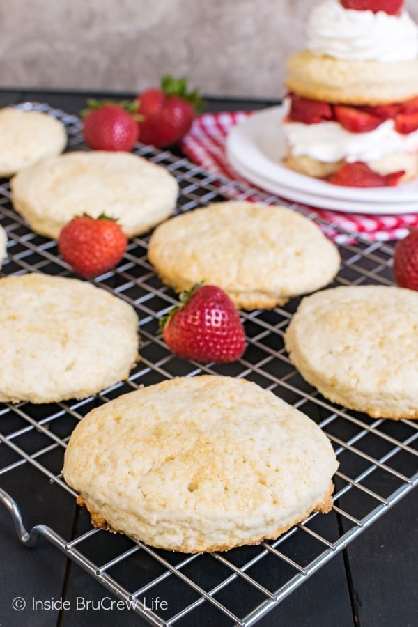 Homemade Strawberry Shortcake - these easy sweet biscuits are great when layered with fresh fruit and cream or ice cream. Great classic dessert that everyone loves! #strawberry #shortcake #homemade #biscuits #summerdessert #recipe 